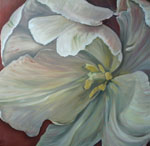 Tulpe 4