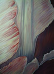 Tulpe 6