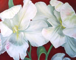 Tulpe 1