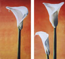 Callas Duo