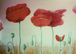 Mohnblumen Trio