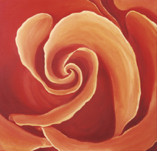 Rose 2