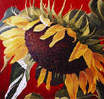 Sonnenblume 3