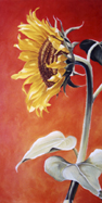 Sonnenblume 5