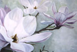 Magnolie 2