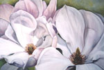 Magnolie 1
